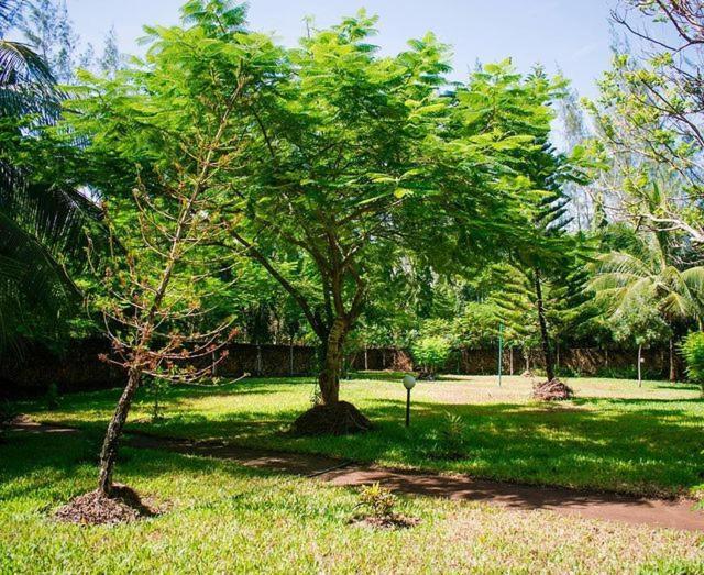 Kijani Cottages Diani Diani Beach Esterno foto